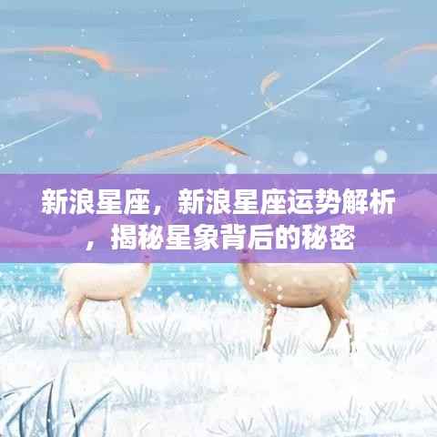 新浪星座运势解析揭秘,星象背后的秘密探索