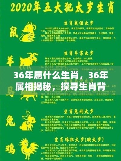 揭秘生肖奥秘,探寻属相运势之秘,揭秘生肖属相背后的运势奥秘(针对属相为鼠的生肖)