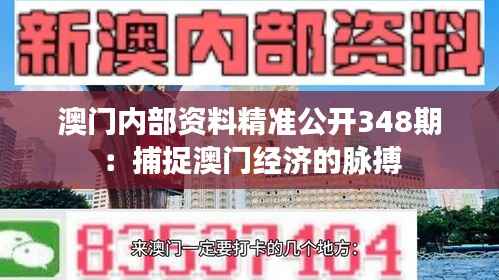 澳门内部资料精准公开348期:捕捉澳门经济的脉搏