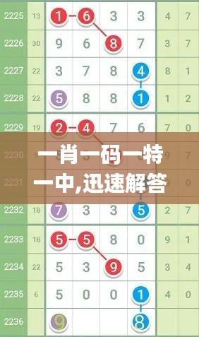 一肖一码一特一中,迅速解答问题_精英款5.857