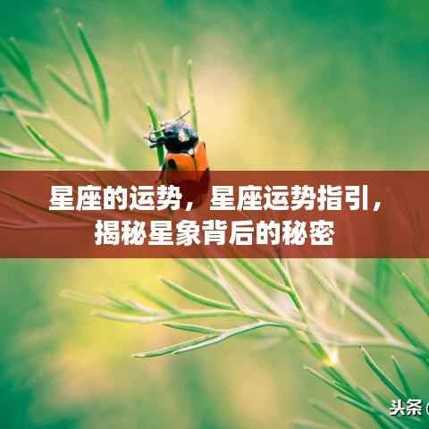 揭秘星座运势背后的秘密,星座运势指引与星象解读