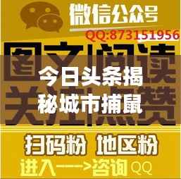 今日头条揭秘城市捕鼠行动幕后故事,捕鼠新闻视频火热上线!