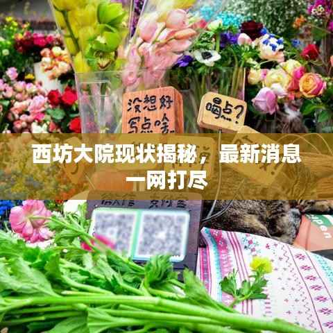 西坊大院现状揭秘,最新消息一网打尽