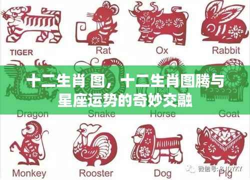 十二生肖图腾与星座运势的奥秘交融,解读生肖图的神秘力量