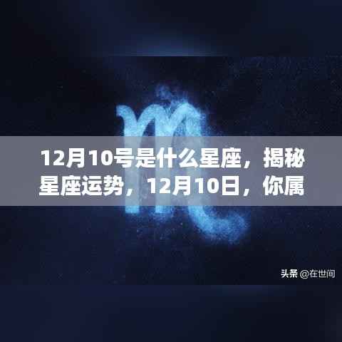 揭秘12月10日星座运势与特点,你属于哪个星座?
