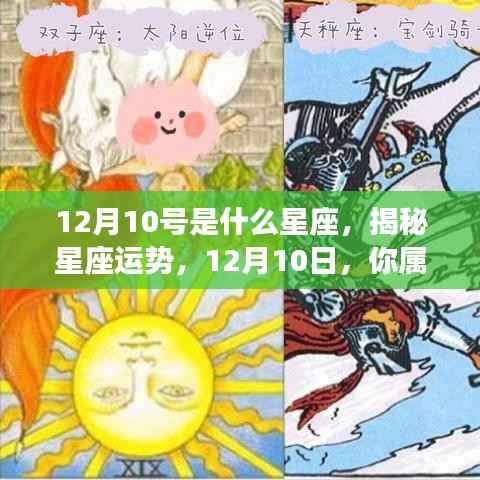 揭秘12月10日星座运势与特点,你属于哪个星座?