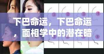 面相学视角下的下巴命运,揭示潜在暗示与人生走向的奥秘