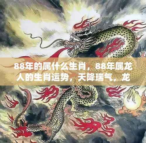 1988年属龙人的运势与生肖运势详解,天降瑞气,龙腾盛世