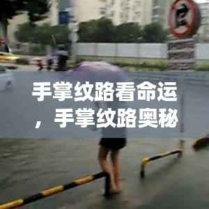 揭秘手掌纹路,命运之轮的奥秘与洞悉命运真相的钥匙