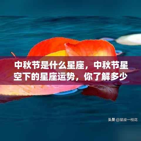 中秋节星座运势解析,星空下的星座运势详解