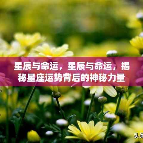 揭秘星座运势背后的神秘力量,星辰与命运的交织影响