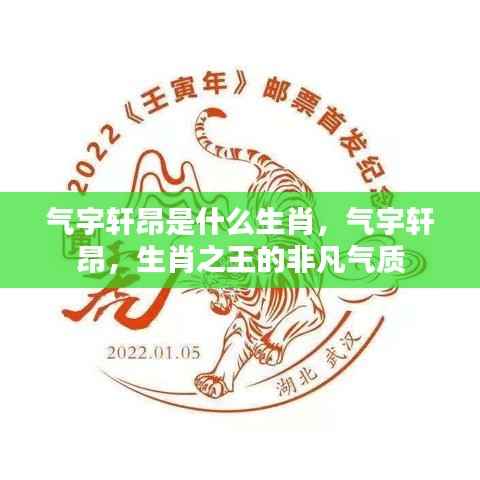 揭秘生肖之王的气宇轩昂,非凡气质展现的生肖风采