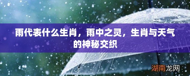 雨中之灵,生肖与天气的神秘联系
