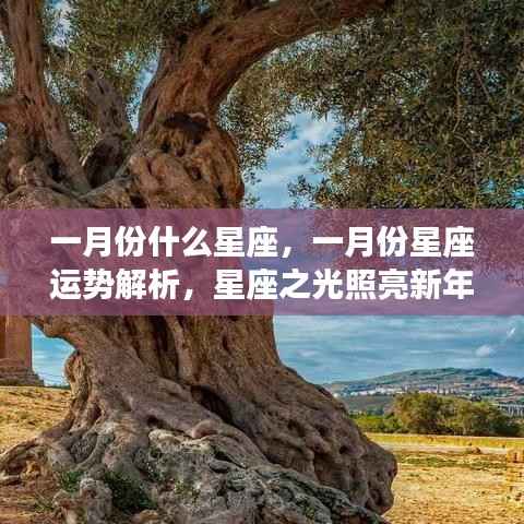 一月份星座运势解析,星座之光引领新年好运