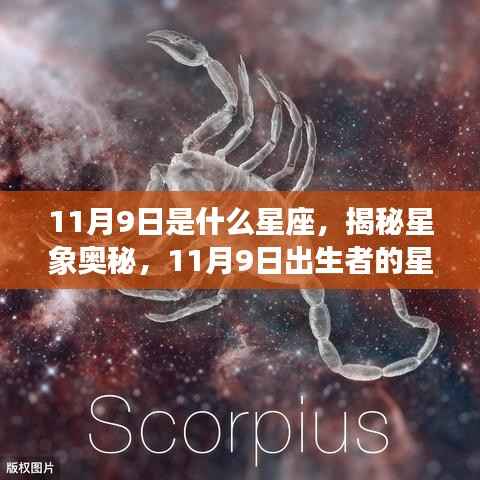 揭秘星象奥秘,11月9日出生者的星座运势解析及星座特点探索