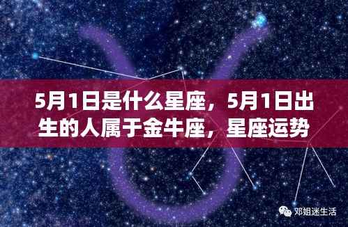 5月1日金牛座运势展望,星座特点与未来走向