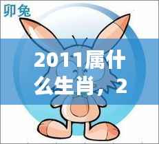 2011年属兔人的运势解析与生肖运势展望