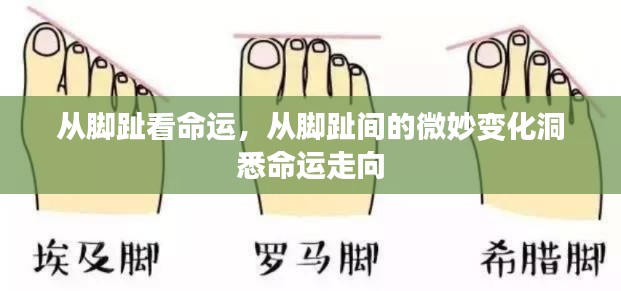 从脚趾洞悉命运走向,微妙变化揭示未来命运特征