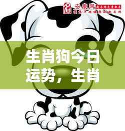 生肖狗今日运势,生肖狗今日运势