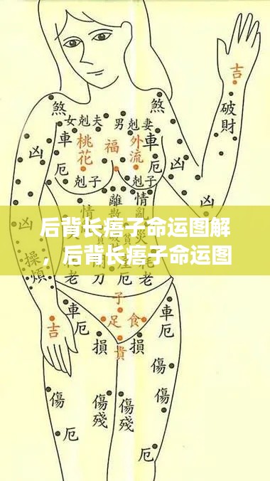 后背长痦子命运解读,神秘符号揭示命运之谜