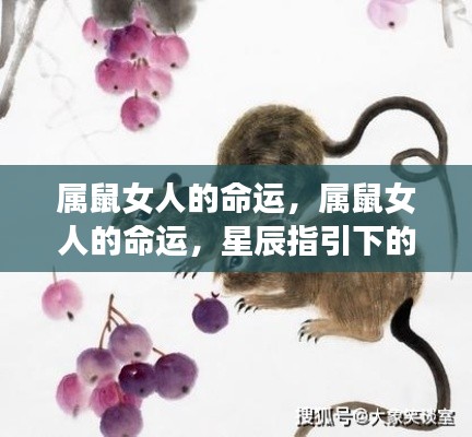 星辰指引下的属鼠女人命运探索与独特人生旅程