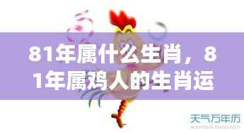 揭秘生肖运势,揭秘属鸡人的命运机遇与挑战,探寻生肖鸡在命运之轮下的表现