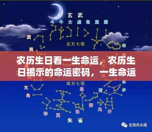 农历生日揭示命运密码,一生命运走势深度解析与解读