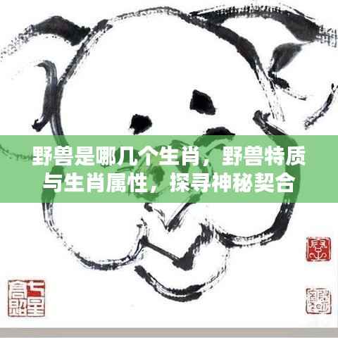 揭秘生肖中的野兽属性,生肖与野兽特质的神秘契合之旅