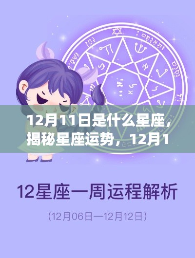 揭秘星座运势,12月11日星座运势详解