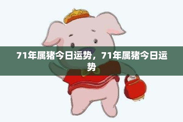 71年属猪人今日运势详解