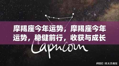 摩羯座今年运势展望,稳健前行,收获与成长并存