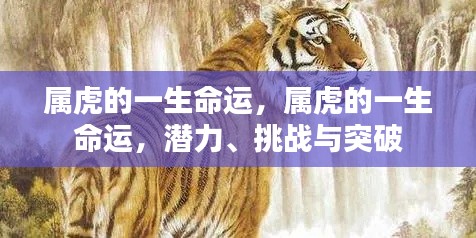 属虎人的命运轨迹,潜力、挑战与突破探索