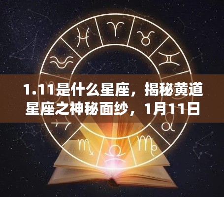揭秘黄道星座之神秘面纱,1月11日的星座运势解析及星座属性探索(附详解)
