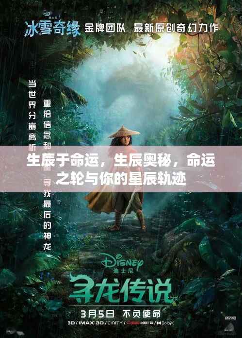 生辰奥秘,命运之轮与星辰轨迹的探寻