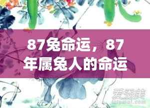 揭秘87年属兔人的命运轨迹与星座运势展望