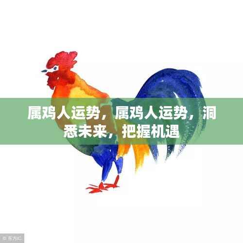 属鸡人的未来运势展望,洞悉机遇,把握幸运之门