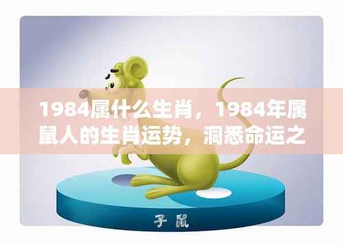 1984年属鼠人的命运运势,机遇与挑战并存
