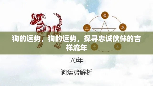 狗的运势揭秘,探寻忠诚伙伴的吉祥流年运势解析