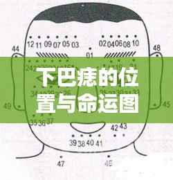 下巴痣位置与命运图解析,神秘联系揭秘
