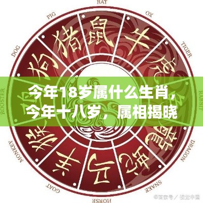 揭秘18岁属相,青春星象与生肖交织的运势揭晓