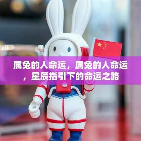 属兔人的命运轨迹,星辰指引下的独特人生之路