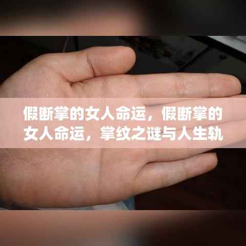 假断掌女人的命运之谜,掌纹交织人生轨迹的探寻