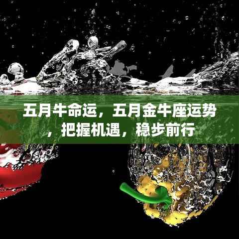 五月金牛座运势展望,把握机遇,命运稳步前行