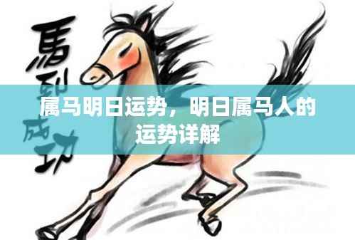 明日属马运势详解,探寻属马人的明日运势走向