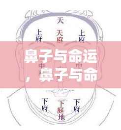 朝乾夕惕 第5页