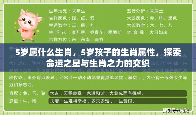 探索命运之星与生肖之力的交织,5岁孩子的生肖属性解析