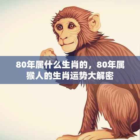 80年属猴人的生肖运势全面解密