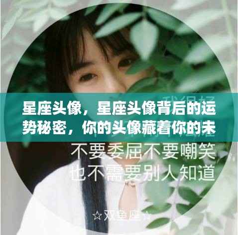 星座头像背后的运势秘密,头像中的未来运势揭秘?