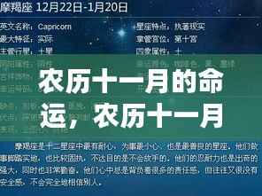 农历十一月命运解析,星象指引下的生命轨迹探索
