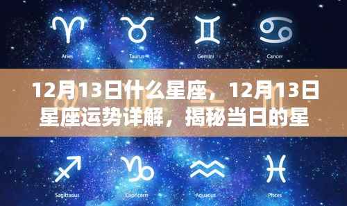 揭秘星座运势秘密,12月13日星座运势详解及运势秘密大揭秘